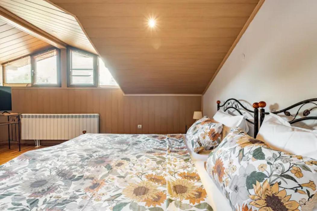 Guest House Geranium ארבאנאסי מראה חיצוני תמונה